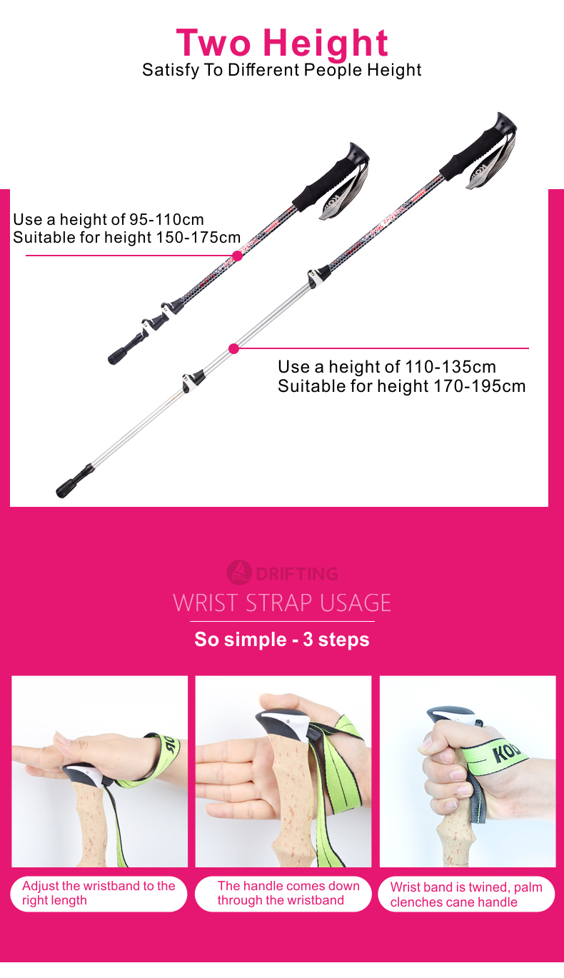 3 Sections Alpenstock DFTZL-4 (6).jpg