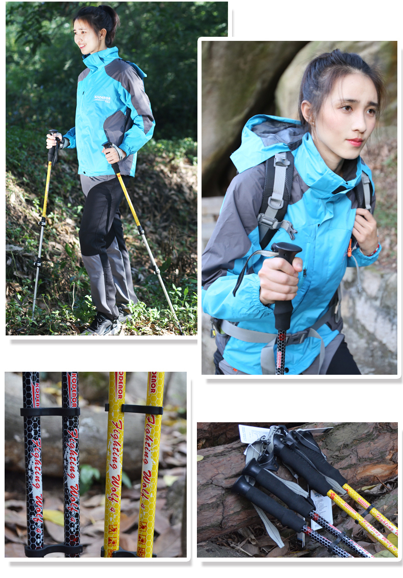 3 Sections Alpenstock DFTZL-4 (8).jpg