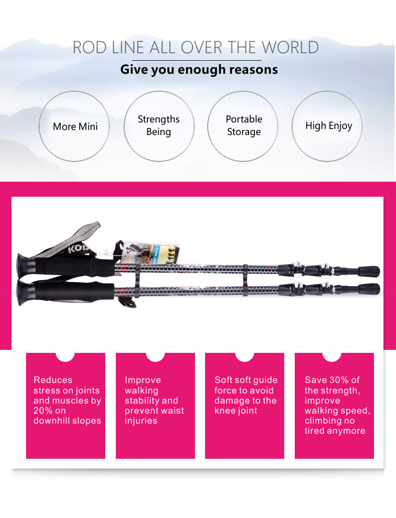 3 Sections Alpenstock DFTZL-4 (10).jpg