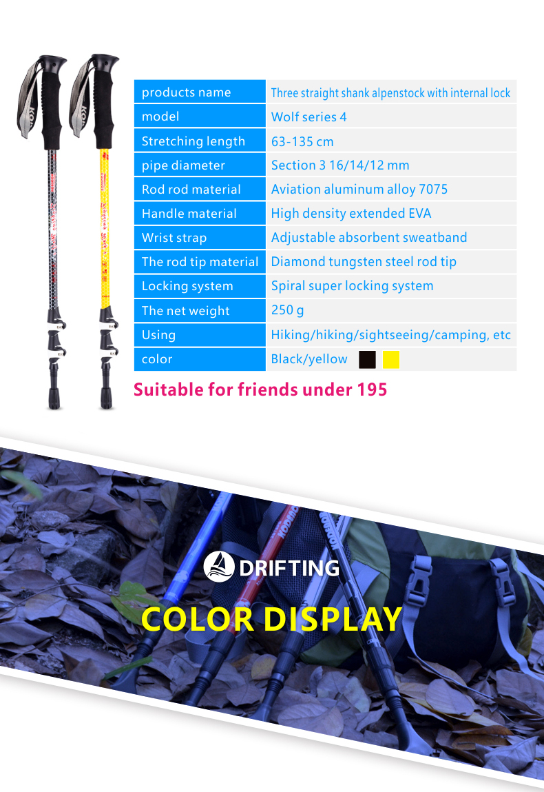 3 Sections Alpenstock DFTZL-4 (3).jpg