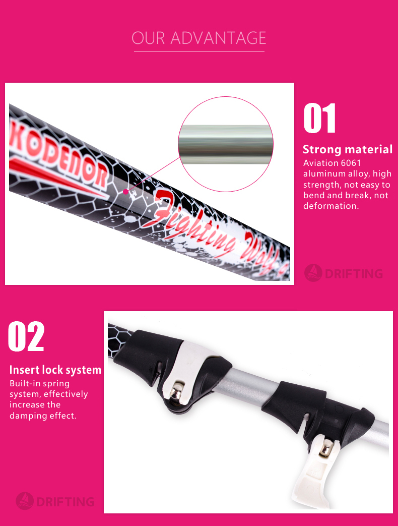 3 Sections Alpenstock DFTZL-4 (1).jpg