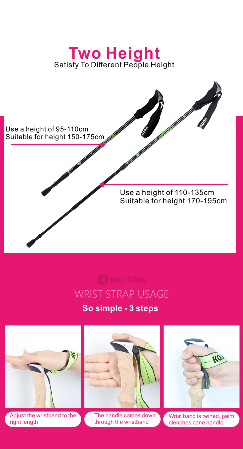 3 Sections Alpenstock DFTZL-2 (8).jpg