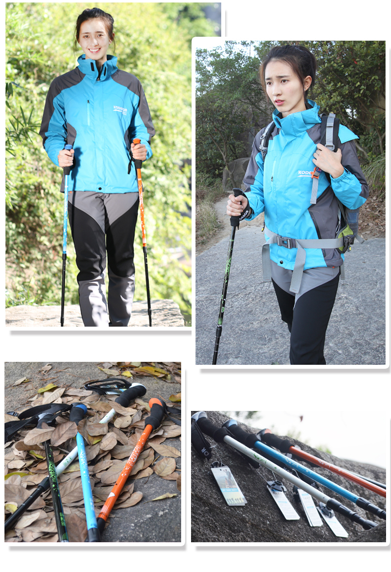 3 Sections Alpenstock DFTZL-2 (10).jpg