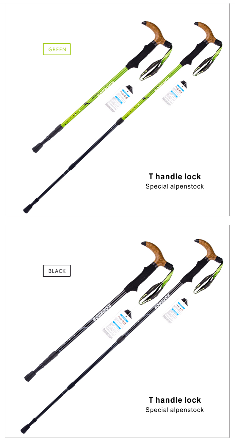 3 Sections Alpenstock DFTZL-8 (7).jpg