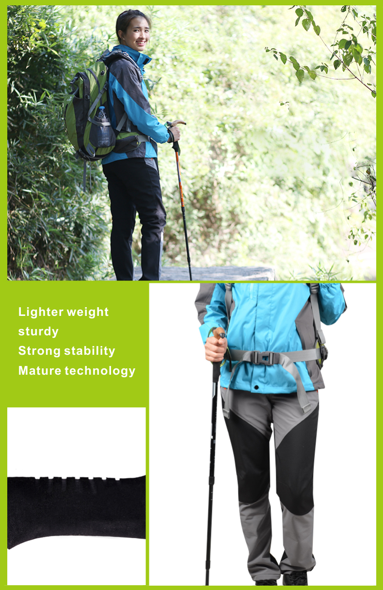 3 Sections Alpenstock DFTZL-8 (9).jpg