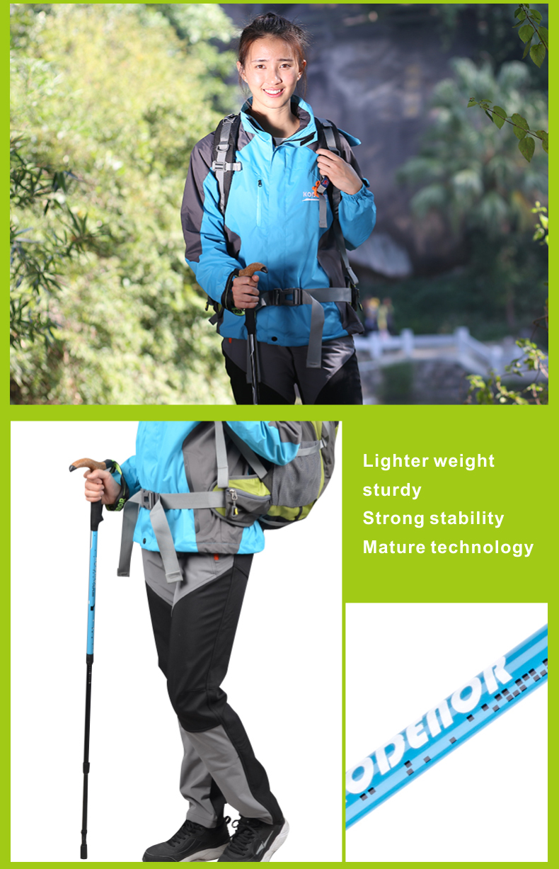 3 Sections Alpenstock DFTZL-8 (10).jpg
