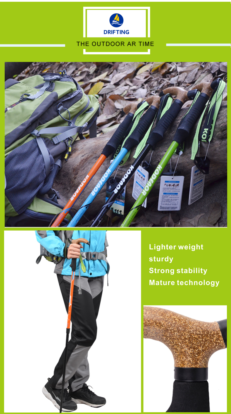 3 Sections Alpenstock DFTZL-8 (8).jpg