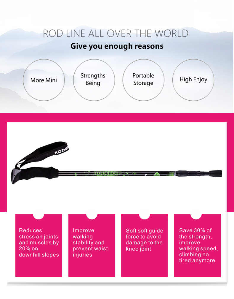 3 Sections Alpenstock DFTZL-2 (12).jpg