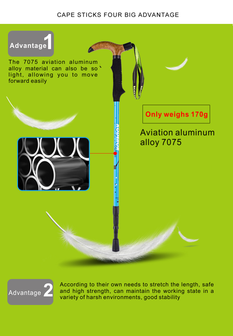 3 Sections Alpenstock DFTZL-8 (4).jpg