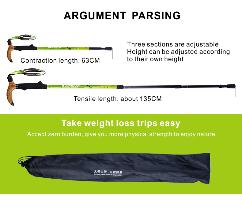 3 Sections Alpenstock DFTZL-8 (3).jpg