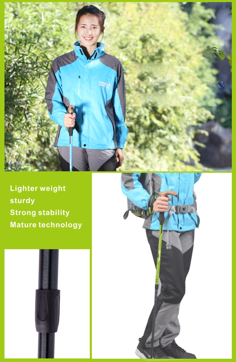 3 Sections Alpenstock DFTZL-8 (11).jpg