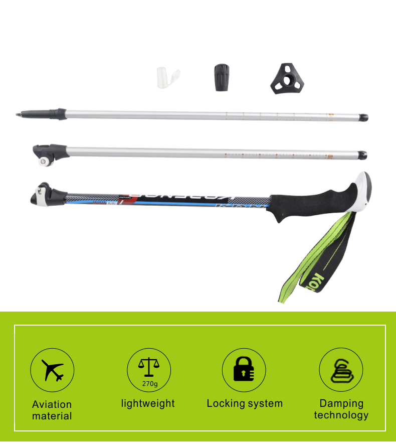 3 Sections Alpenstock DFTZL-1 (1).jpg