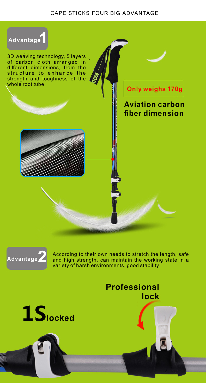 3 Sections Alpenstock DFTZL-1 (4).jpg