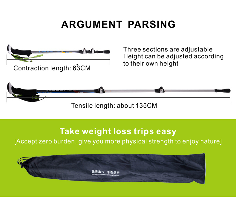3 Sections Alpenstock DFTZL-1 (3).jpg