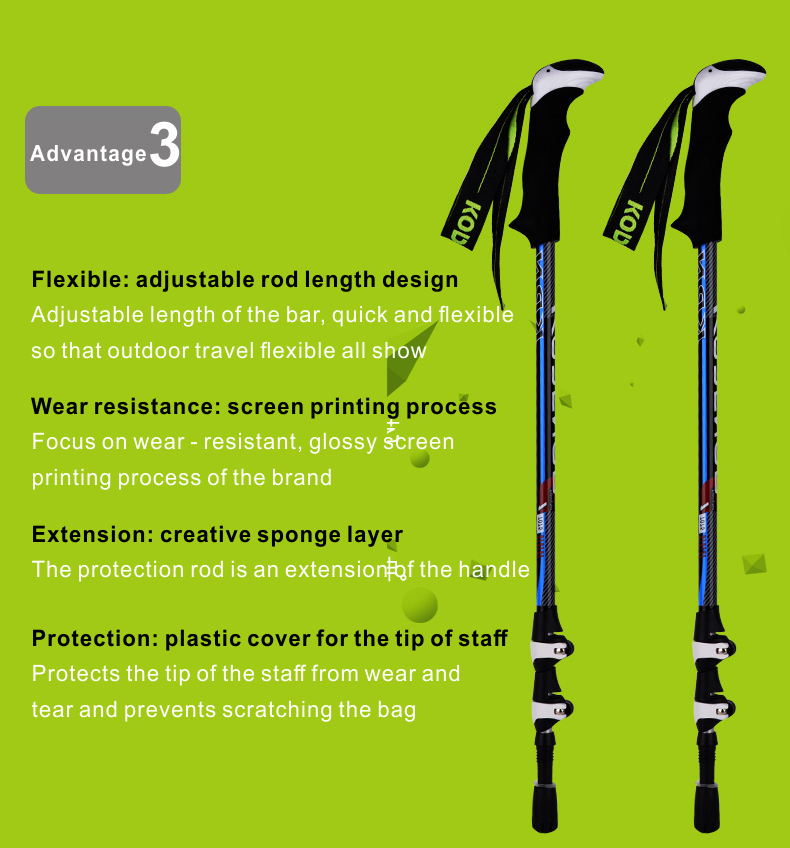 3 Sections Alpenstock DFTZL-1 (5).jpg