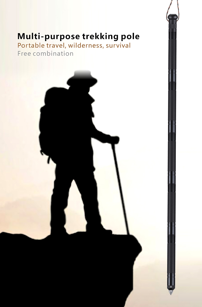 Aluminum Alloy Walking Stick N3 (1).JPG