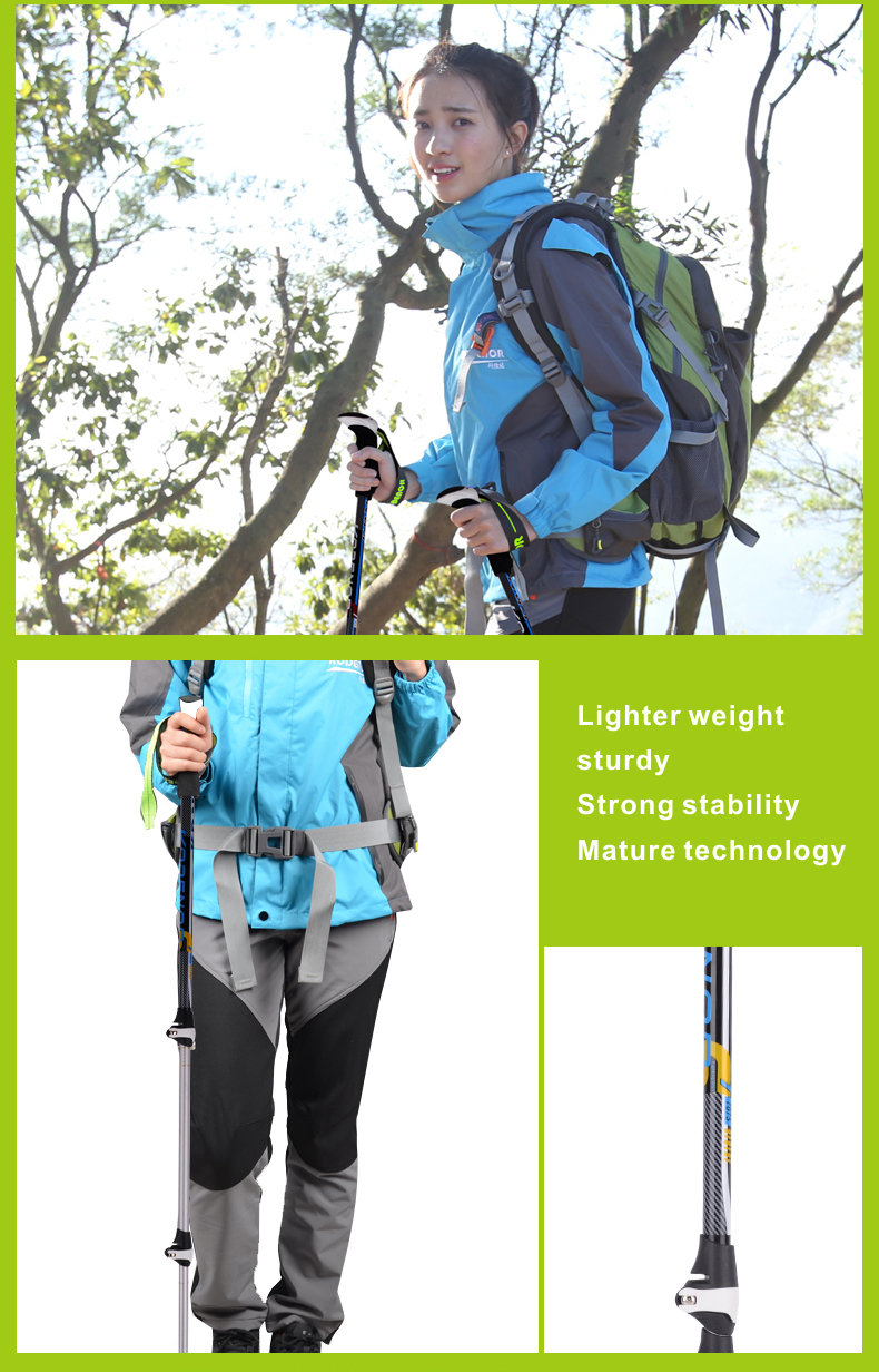 3 Sections Alpenstock DFTZL-1 (12).jpg