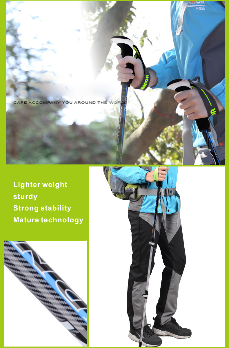 3 Sections Alpenstock DFTZL-1 (11).jpg