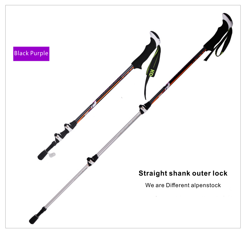 3 Sections Alpenstock DFTZL-1 (9).jpg