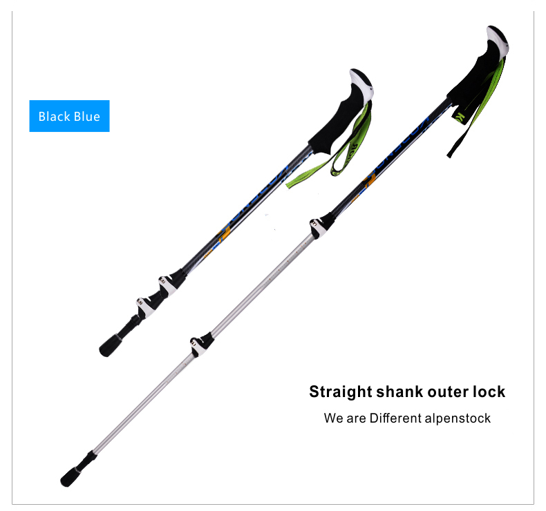 3 Sections Alpenstock DFTZL-1 (8).jpg