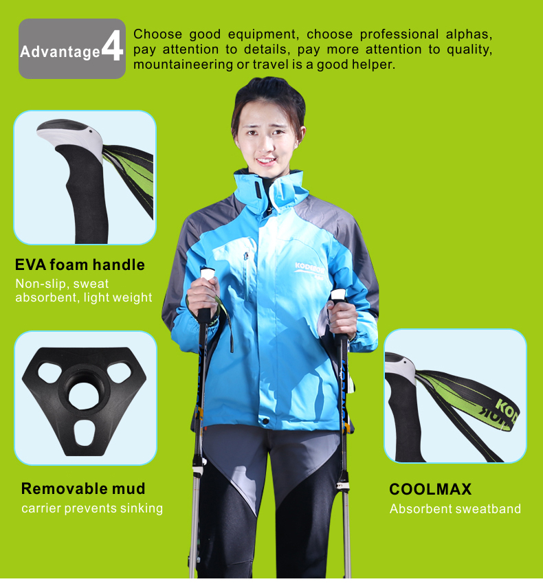 3 Sections Alpenstock DFTZL-1 (6).jpg