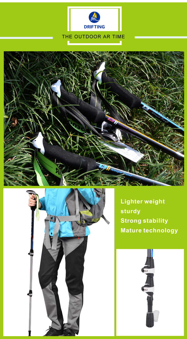3 Sections Alpenstock DFTZL-1 (10).jpg