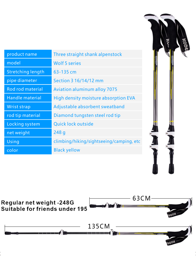 3 Sections Alpenstock DFTZL-5 (1).jpg