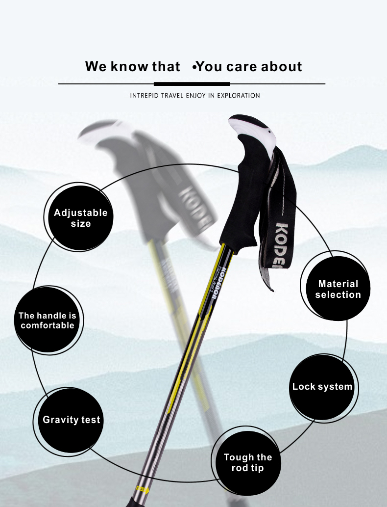 3 Sections Alpenstock DFTZL-5 (3).jpg