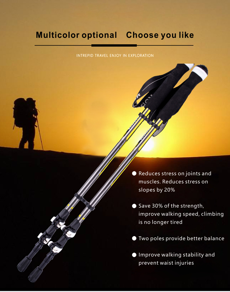 3 Sections Alpenstock DFTZL-5 (2).jpg