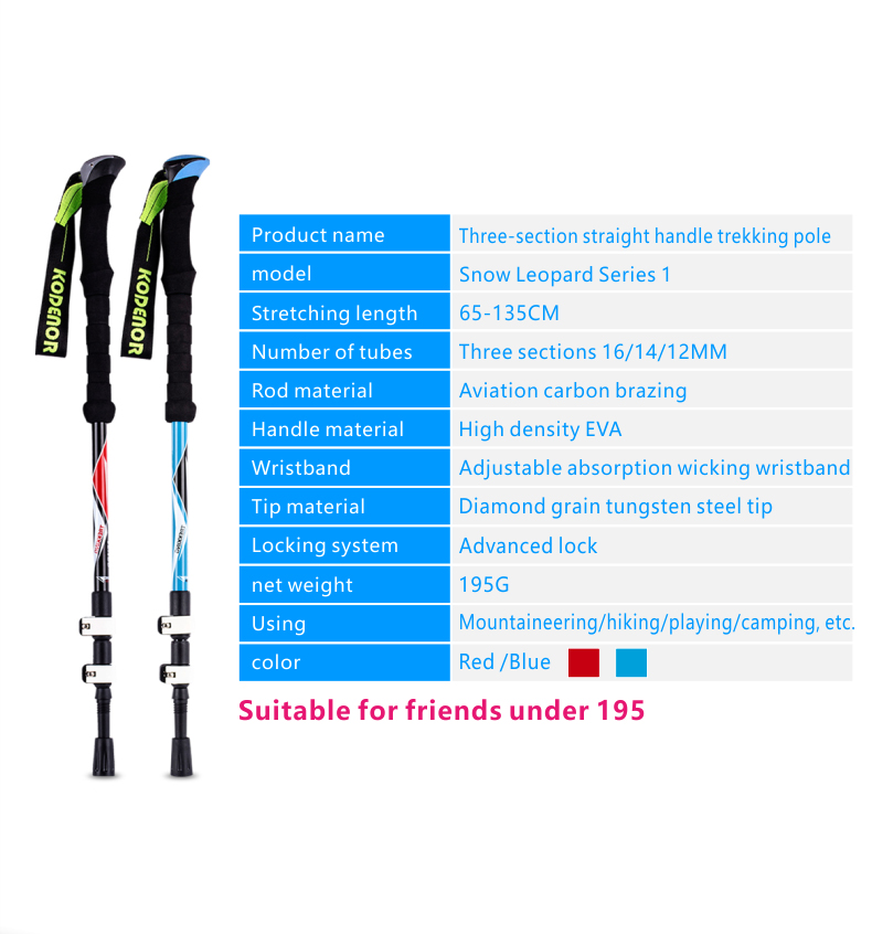 3 Sections Alpenstock DFTXB-1 (3).jpg