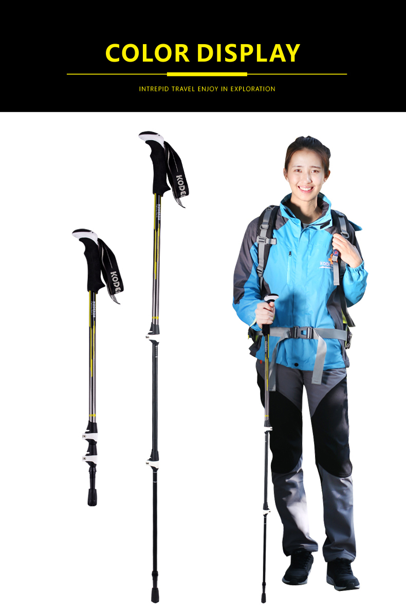 3 Sections Alpenstock DFTZL-5 (9).jpg