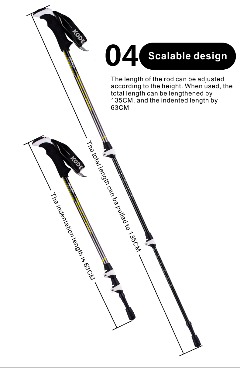 3 Sections Alpenstock DFTZL-5 (6).jpg