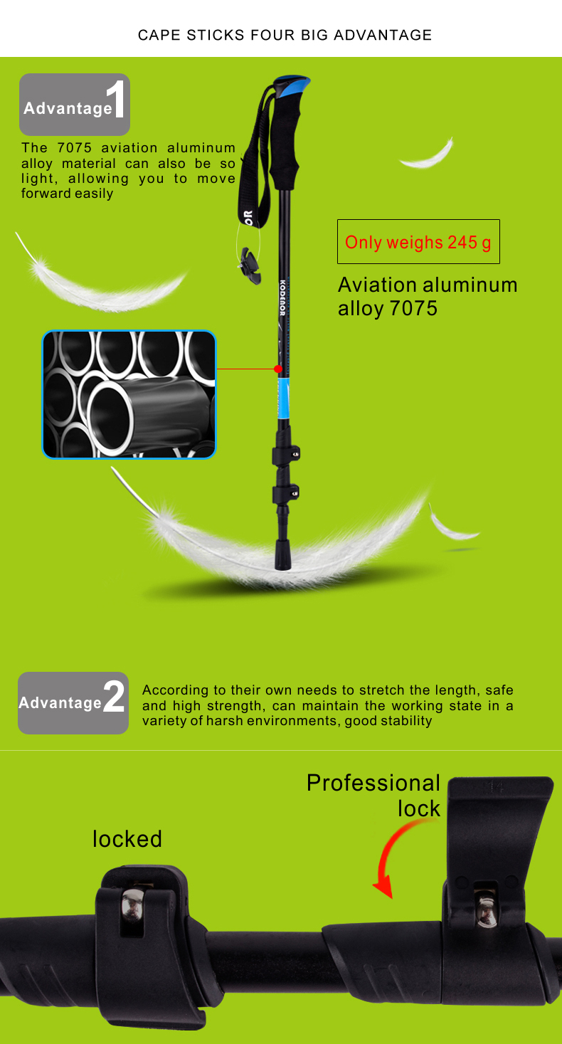 3 Sections Alpenstock DFTZL-6 (4).jpg