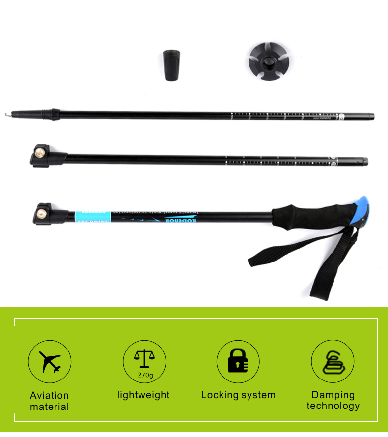 3 Sections Alpenstock DFTZL-6 (1).jpg