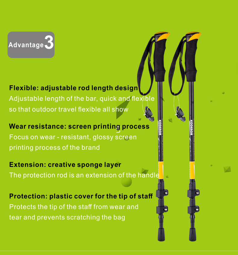 3 Sections Alpenstock DFTZL-6 (5).jpg