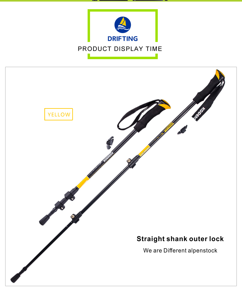 3 Sections Alpenstock DFTZL-6 (7).jpg