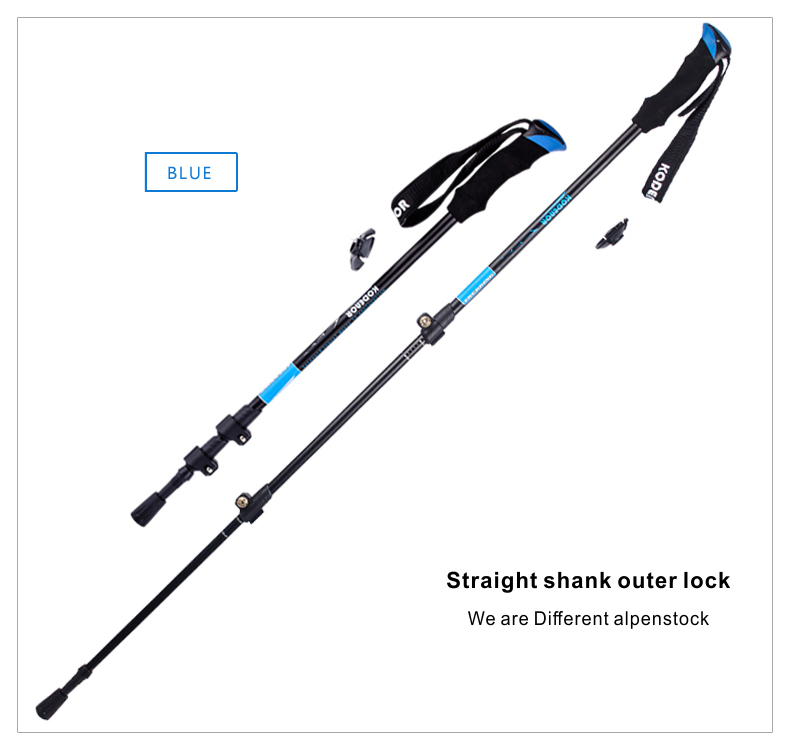 3 Sections Alpenstock DFTZL-6 (8).jpg