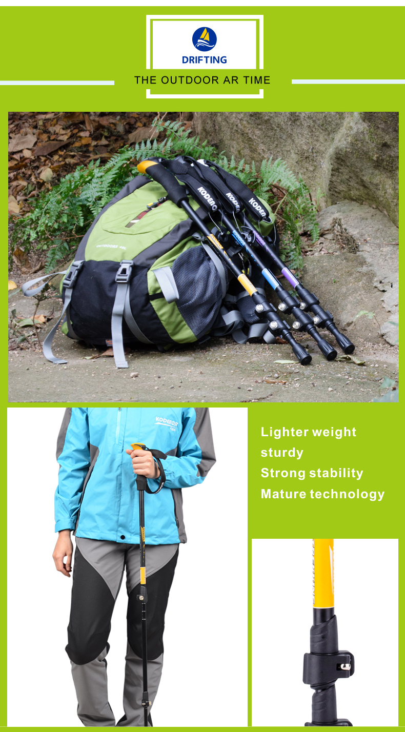 3 Sections Alpenstock DFTZL-6 (10).jpg