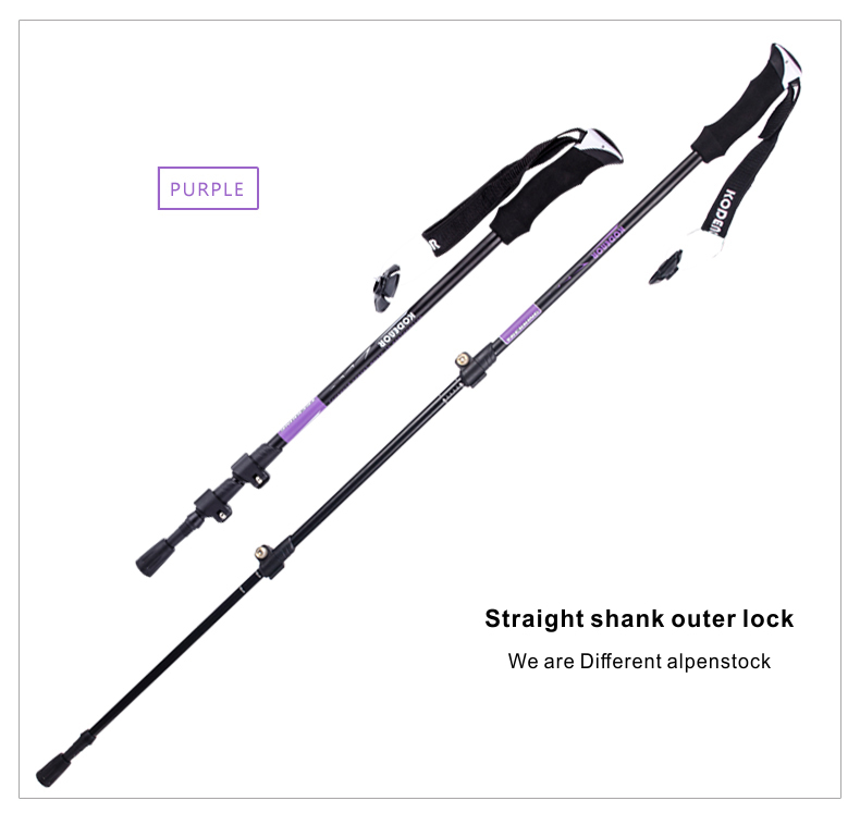 3 Sections Alpenstock DFTZL-6 (9).jpg