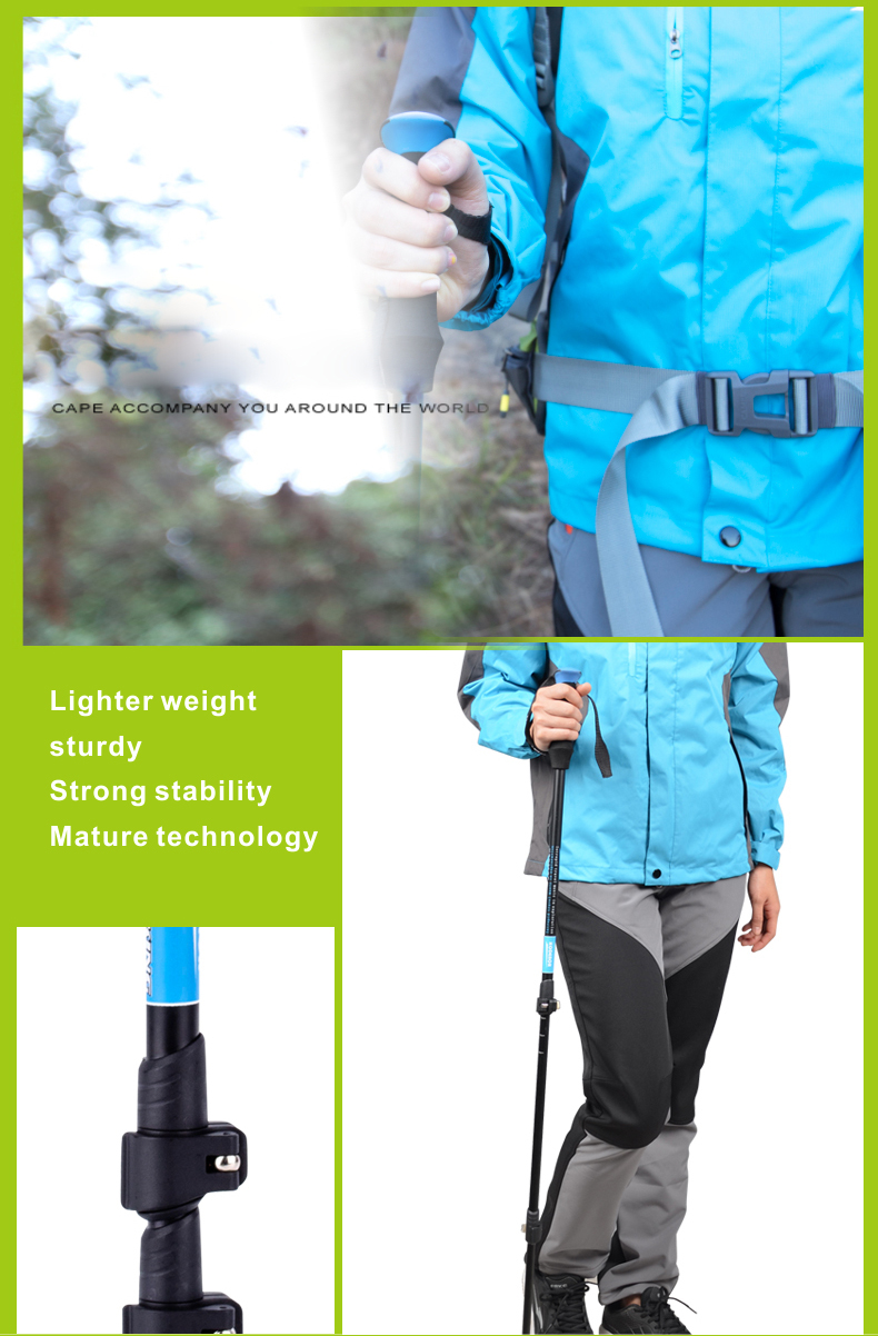 3 Sections Alpenstock DFTZL-6 (11).jpg