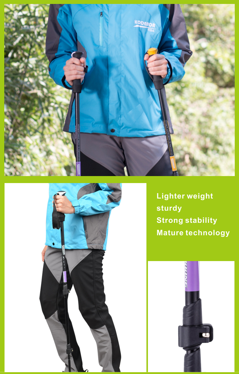 3 Sections Alpenstock DFTZL-6 (12).jpg