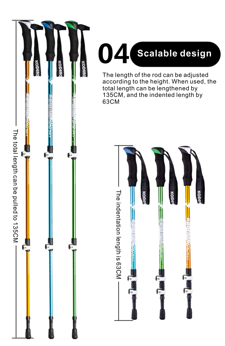 3 Sections Alpenstock DFTZL-9 (6).jpg