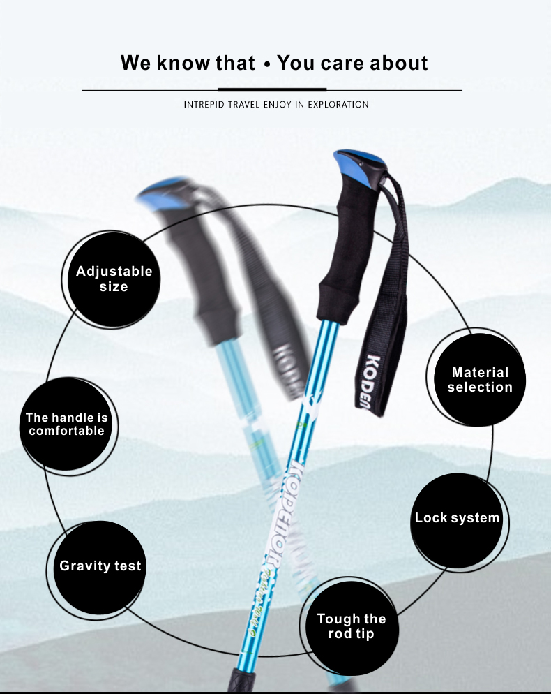 3 Sections Alpenstock DFTZL-9 (3).jpg