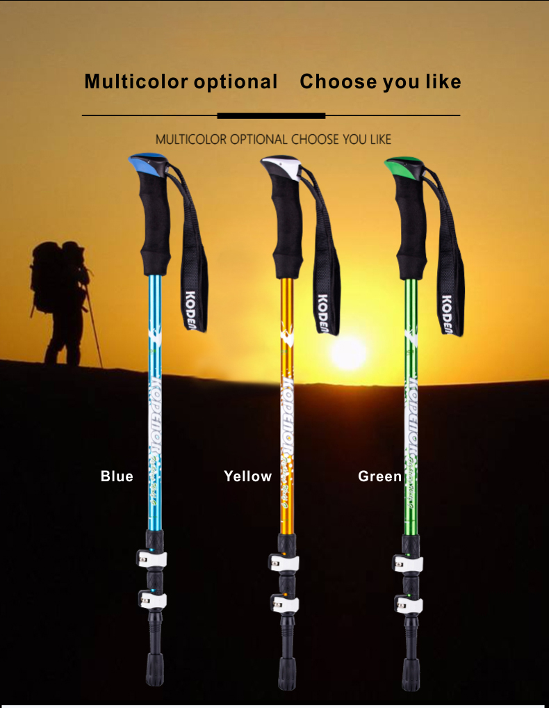 3 Sections Alpenstock DFTZL-9 (2).jpg