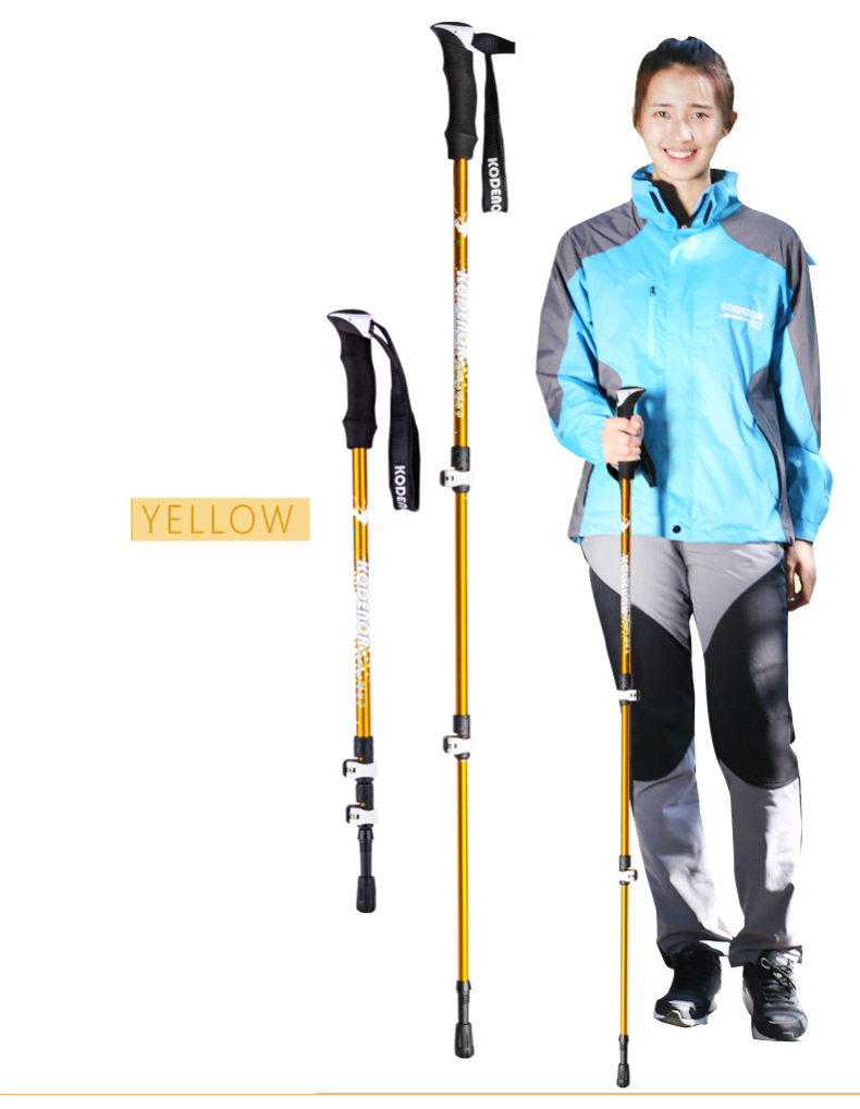 3 Sections Alpenstock DFTZL-9 (9).jpg
