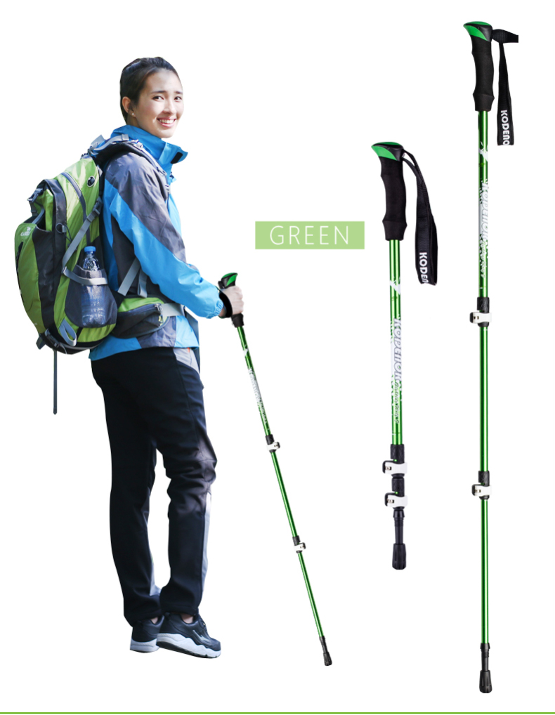 3 Sections Alpenstock DFTZL-9 (10).jpg