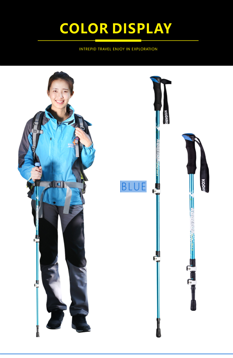 3 Sections Alpenstock DFTZL-9 (8).jpg