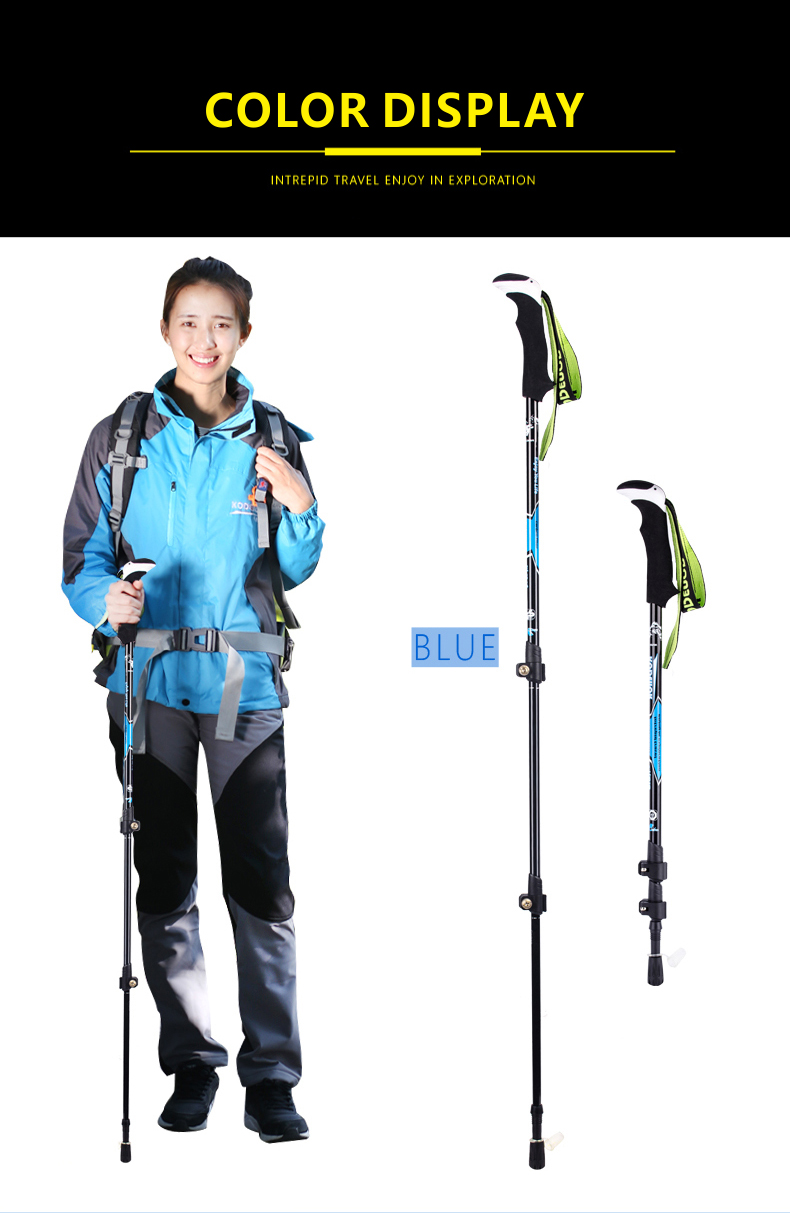 3 Sections Alpenstock DFTXB-2 (8).jpg