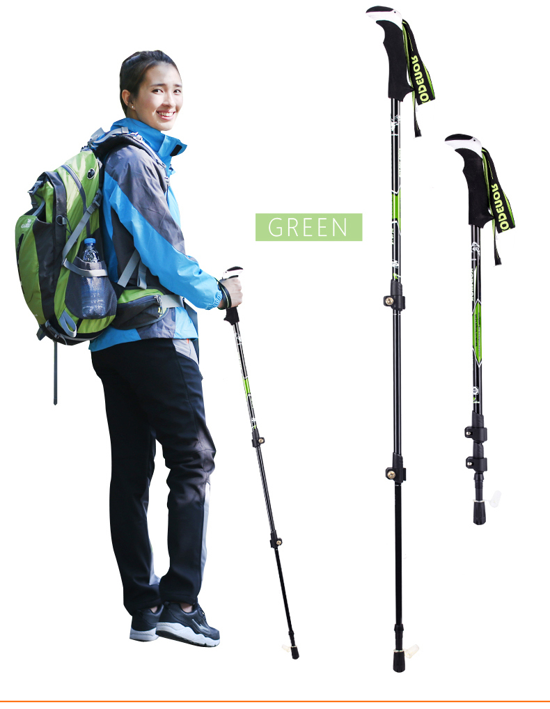 3 Sections Alpenstock DFTXB-2 (10).jpg