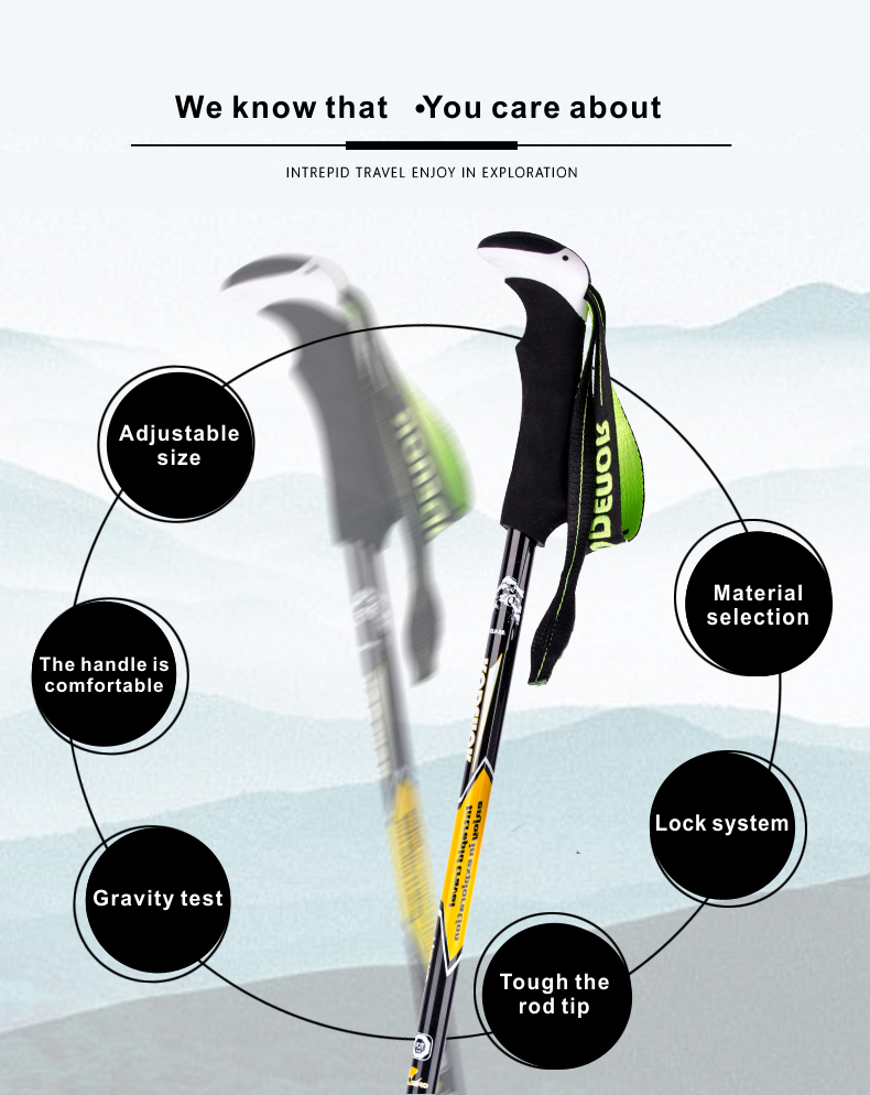 3 Sections Alpenstock DFTXB-2 (3).jpg